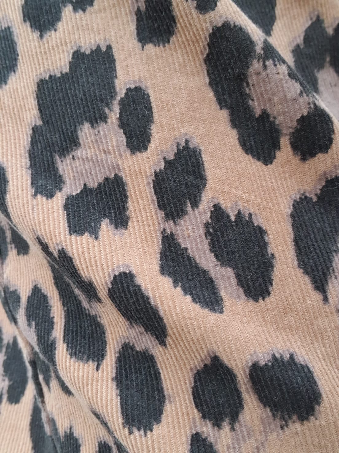 Pantalone Leo Costine